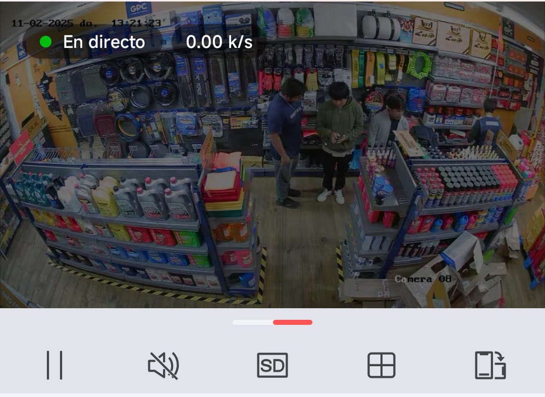 Sistema de videovigilancia CCTV instalado para GPC — vista en directo de la tienda
